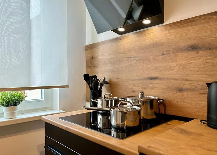 Ar I Art I 4 Pers I Zentrum Apartament Rudolstadt