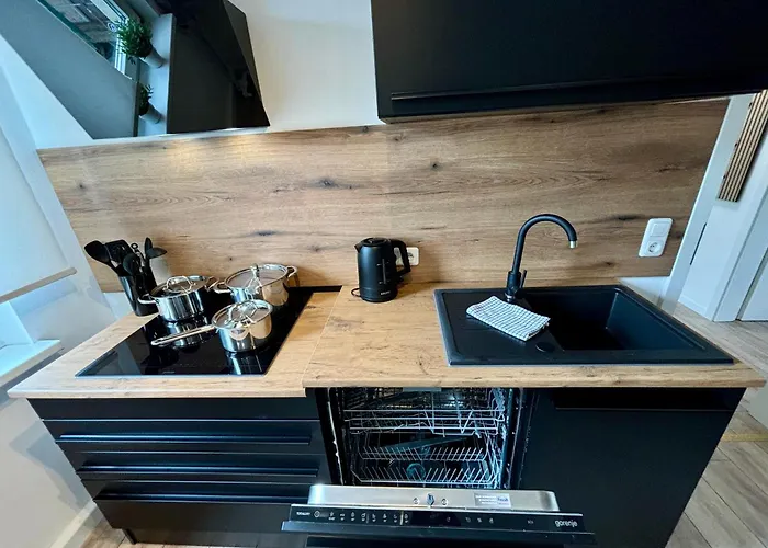 Ar I Art I 4 Pers I Zentrum * Rudolstadt